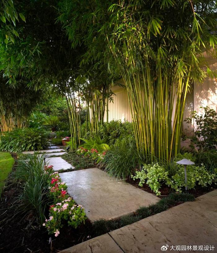 園林景觀設計中常用的竹類苗木產品有哪些你知道嗎?__財經頭條