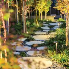 園林景觀設計的自然美!