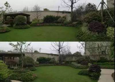 園林綠化及園林綠化施工全解 從設(shè)計到實(shí)施